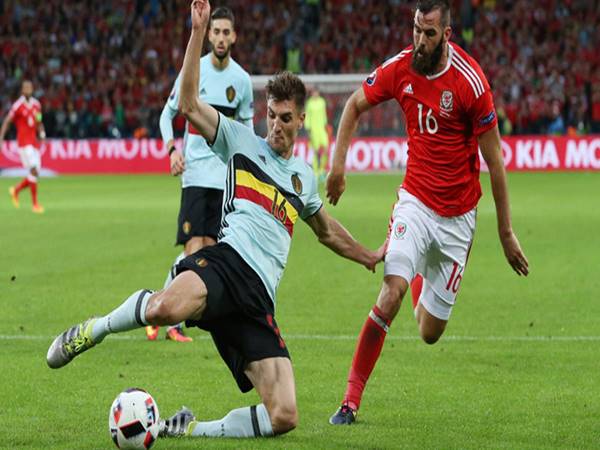 Dự đoán bóng đá trận Wales vs Bỉ (2h45 ngày 17/11)