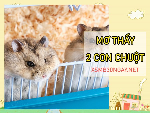 Nằm mơ thấy 2 con chuột là điềm gì, đánh liền số mấy?