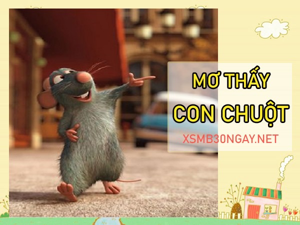 Con chuột số mấy? Mơ thấy chuột là điềm gì, đen hay đỏ?