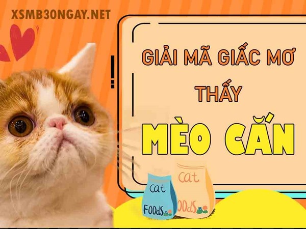 Mơ thấy mèo cắn là điềm gì, phang ngay cặp số mấy?