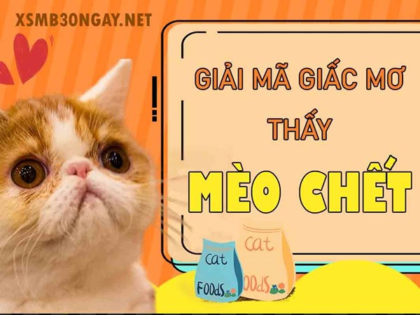 Mơ thấy mèo chết là điềm gì, đánh cặp số nào vào bờ?