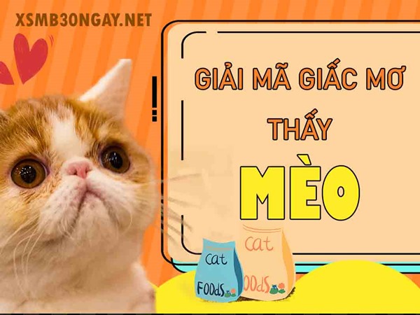 Mơ thấy mèo là điềm gì, dữ hay lành, đánh ngay số mấy?