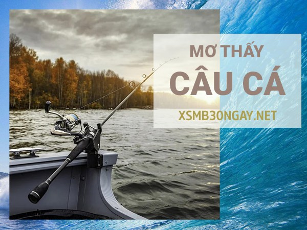 Mơ thấy câu cá là điềm gì, đánh con gì vào bờ an toàn?