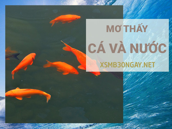Nằm mơ thấy cá và nước là điềm gì, hung hay cát?