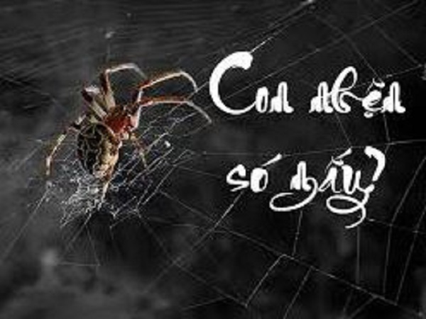 Con nhện số mấy?