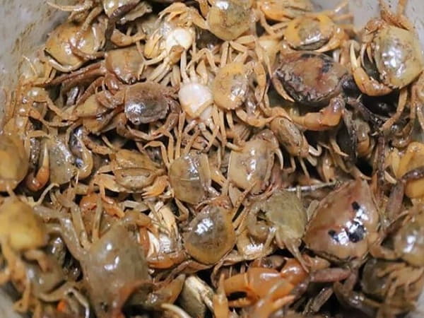 Nằm mơ thấy cua đồng chạy vào nhà