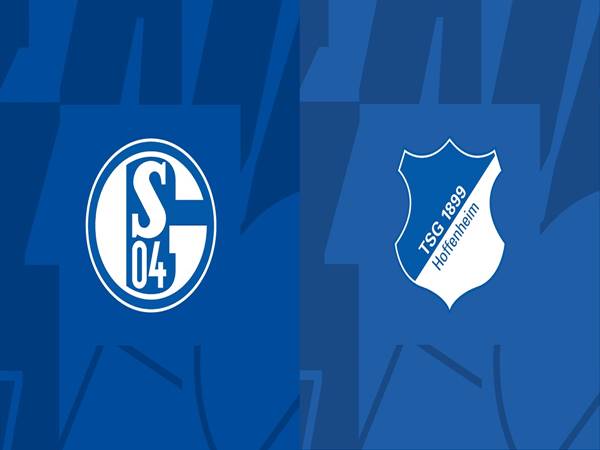 Nhận định bóng đá Schalke vs Hoffenheim (1h30 ngày 15/10)