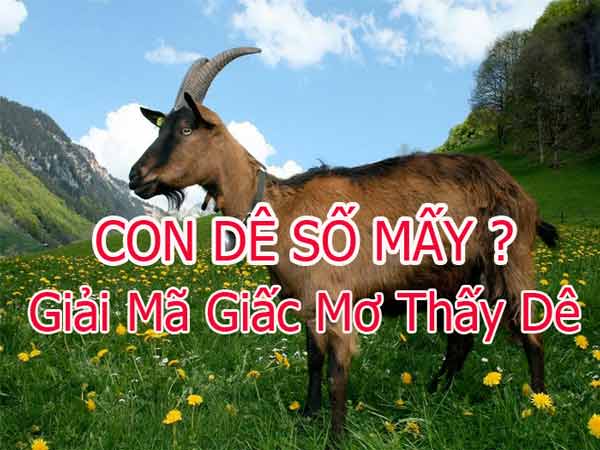 Con dê số mấy? Nằm mơ thấy dê đánh con gì trúng thưởng?