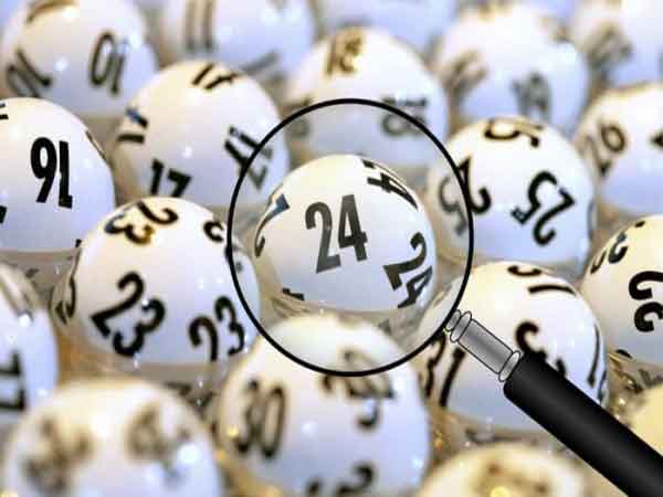 Bộ đề 24 là gì?