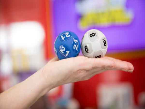 Dàn số chạm 2 bao nhiêu con?