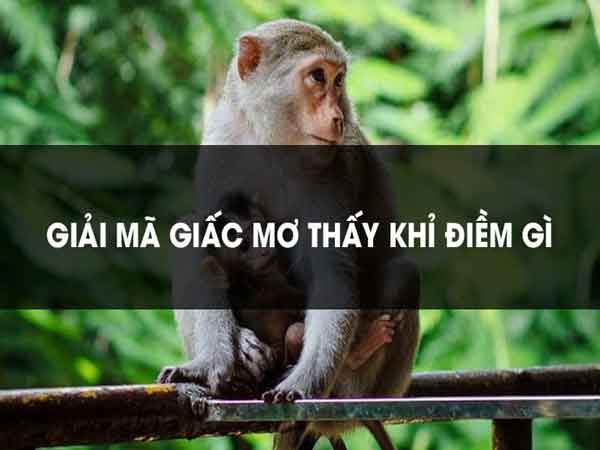 Nằm mơ thấy khỉ là điềm báo gì?