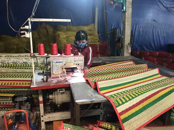 Nằm mơ thấy cái chiếu đánh con gì ăn chắc