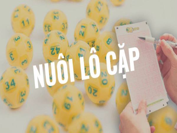 Cách vào tiền nuôi số cặp 5 ngày