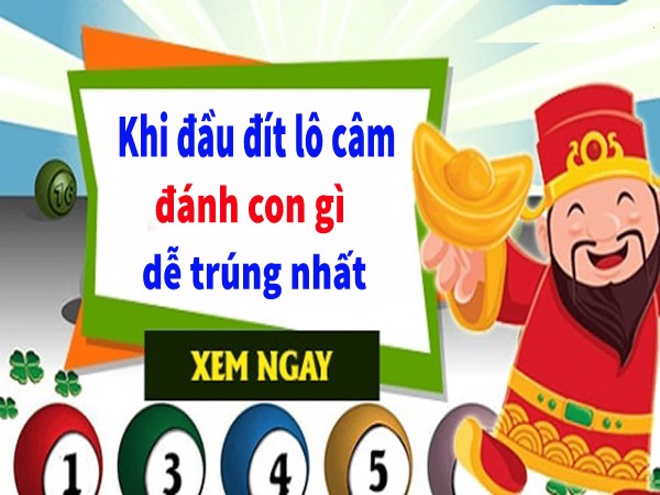 Kinh nghiệm soi lô đầu 1 câm đánh con gì