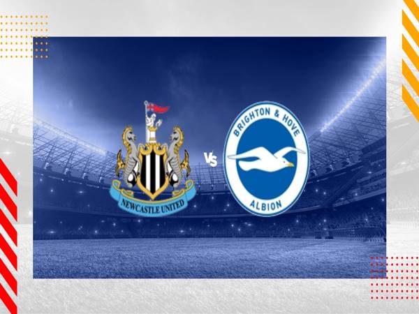 Đối đầu Newcastle vs Brighton, 21h00 ngày 19/10