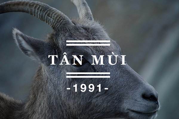 Số may mắn tuổi Tân Mùi 23/1/2025 mang đến tài lộc lớn
