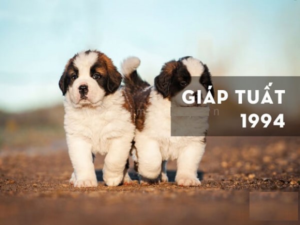 Tuổi Giáp Tuất ngày 30/5/2025: Đón đầu với bộ số tài lộc