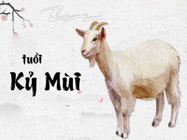 Tiết lộ con số may mắn tuổi Kỷ Mùi hôm nay để gặp vận đỏ