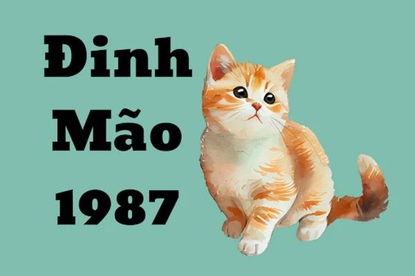 Con số vàng tuổi Đinh Mão 8/5/2025 có gì đặc biệt?