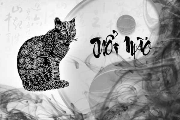 Gợi ý số may mắn tuổi Mão 15/5/2025 hé lộ vận trời ban