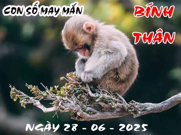 Con số may mắn tuổi Bính Thân ngày 28/6/2025 thứ 7 hôm nay