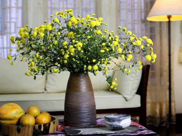 Mộng thấy có người tặng bạn bình hoa