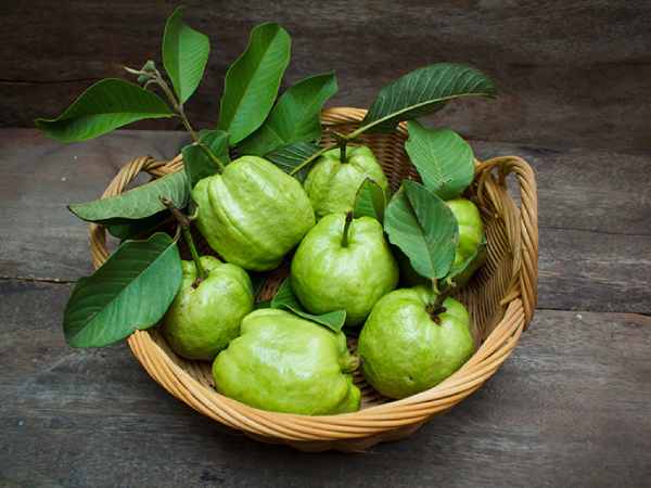 Nằm mơ thấy quả ổi trong giấc mộng là điềm báo gì?