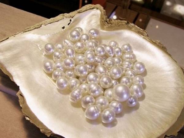 Ngủ mê thấy ai đó tặng bạn ngọc trai