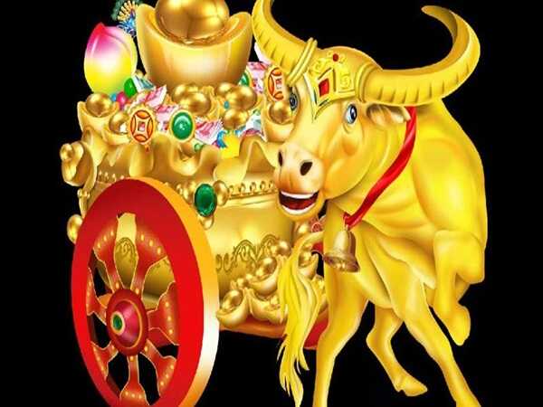 Cặp số đẹp tuổi Sửu 1/10/2025 mang vận may phú quý