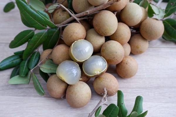 Nằm mơ thấy quả nhãn: Tốt hay xấu cho công việc sắp tới?