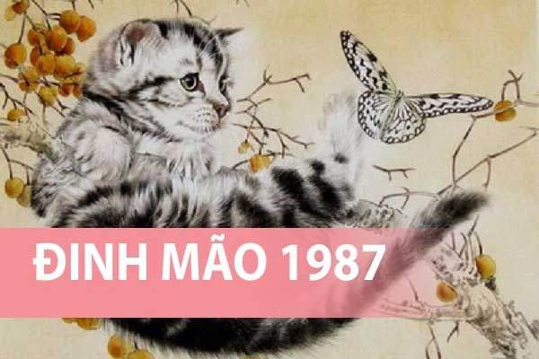 Con số đẹp tuổi Đinh Mão 12/10/2025 có mang điềm tốt?