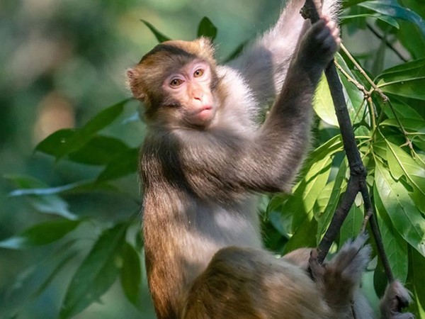 Con số may mắn hôm nay 23/1/2026 thứ 6 của 12 con giáp