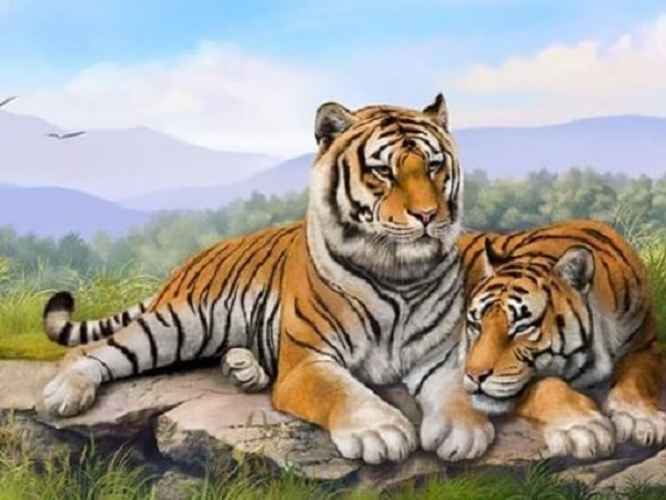 Tham khảo con số may mắn tuổi Giáp Dần ngày 3/1/2026