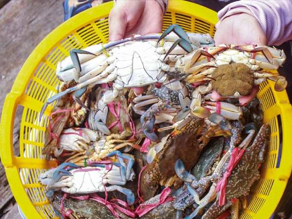 Con ghẹ số mấy theo góc nhìn giải mã số học