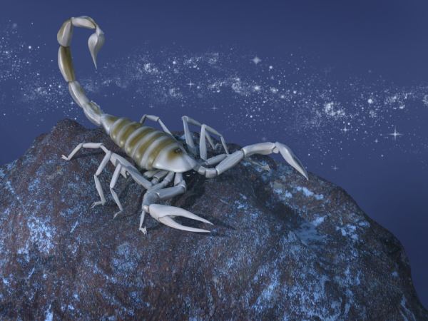 Xem con số may mắn ngày 11/4/2026 cung Bọ Cạp mới nhất