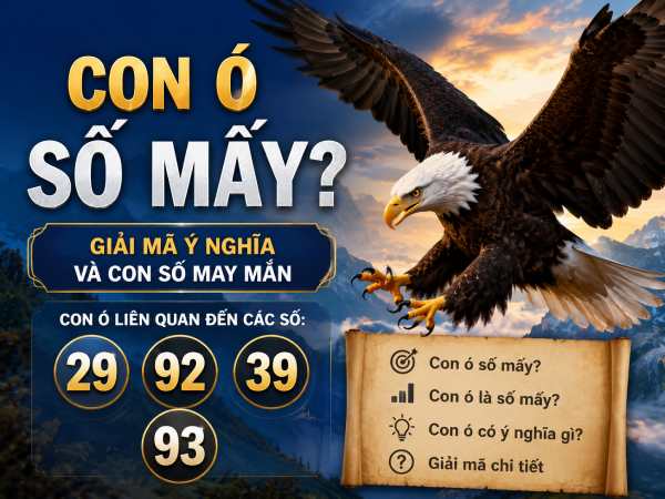 Giải đáp con ó số mấy, ý nghĩa gì theo phong thủy dân gian